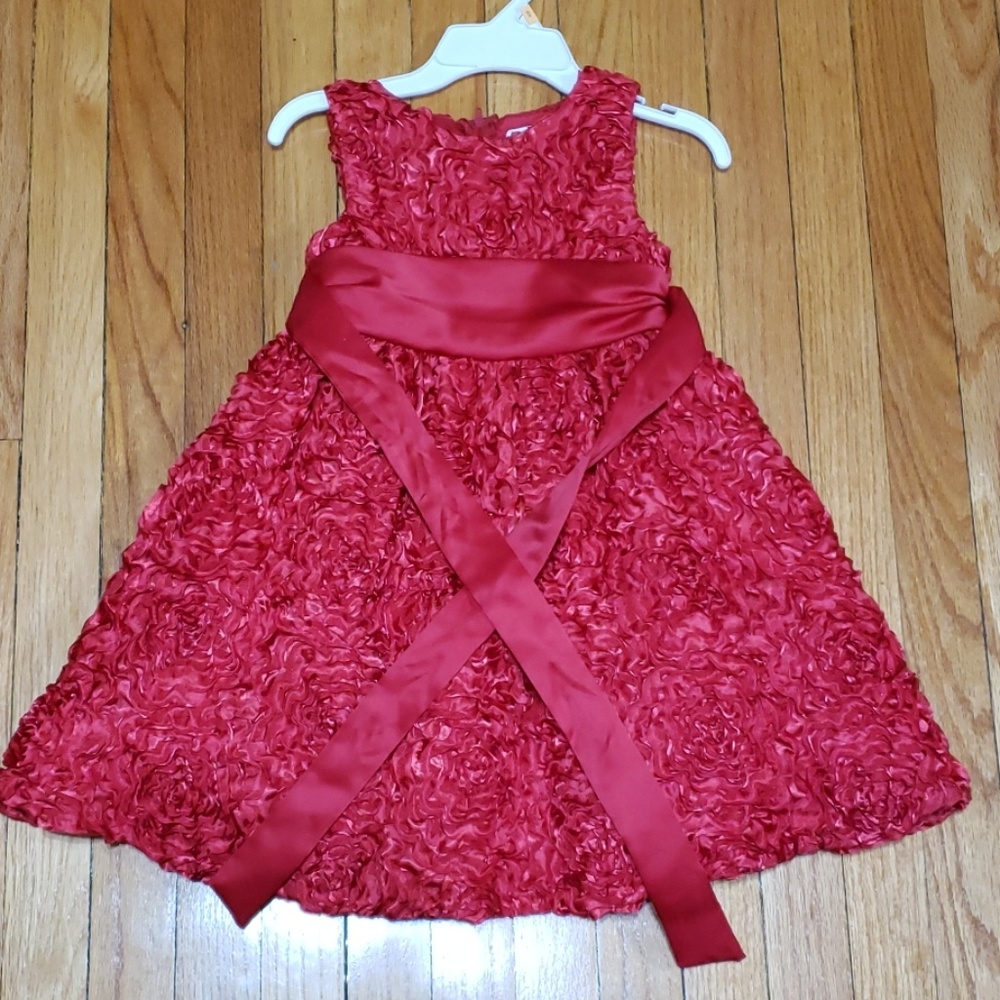 Rare Editions girl dress